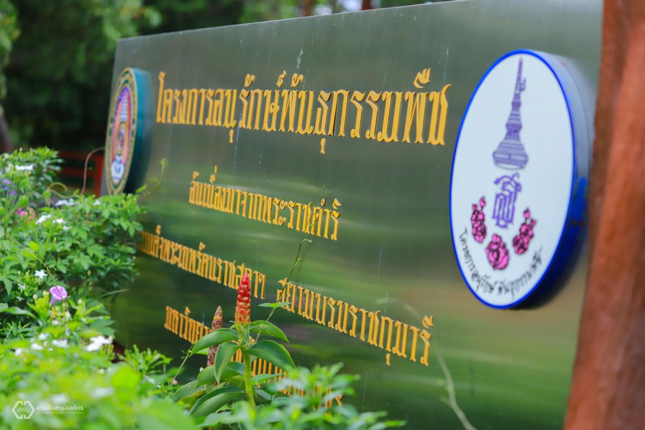 The Plant Genetic Conservation Project Center under the royal initiative of Her Royal Highness Princess Maha Chakri Sirindhorn